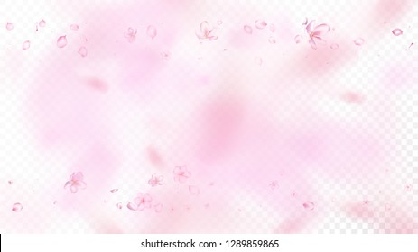 Nice Sakura Blossom Isolated Vector. Magic Falling 3d Petals Wedding Texture. Japanese Blurred Flowers Illustration. Valentine, Mother's Day Tender Nice Sakura Blossom Isolated on White