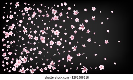Nice Sakura Blossom Isolated Vector. Tender Flying 3d Petals Wedding Border. Japanese Beauty Spa Flowers Illustration. Valentine, Mother's Day Feminine Nice Sakura Blossom Isolated on Black
