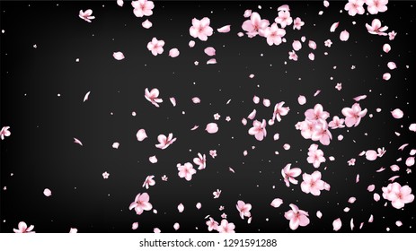 Nice Sakura Blossom Isolated Vector. Realistic Flying 3d Petals Wedding Border. Japanese Nature Flowers Illustration. Valentine, Mother's Day Magic Nice Sakura Blossom Isolated on Black