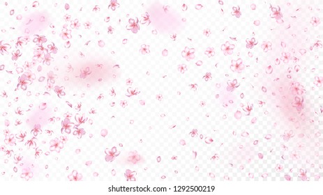 Nice Sakura Blossom Isolated Vector. Watercolor Showering 3d Petals Wedding Pattern. Japanese Oriental Flowers Wallpaper. Valentine, Mother's Day Beautiful Nice Sakura Blossom Isolated on White