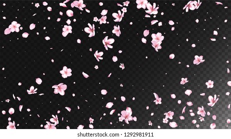 Nice Sakura Blossom Isolated Vector. Summer Flying 3d Petals Wedding Texture. Japanese Bokeh Flowers Wallpaper. Valentine, Mother's Day Tender Nice Sakura Blossom Isolated on Black