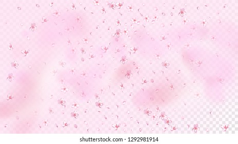 Nice Sakura Blossom Isolated Vector. Pastel Showering 3d Petals Wedding Border. Japanese Oriental Flowers Wallpaper. Valentine, Mother's Day Realistic Nice Sakura Blossom Isolated on Rose