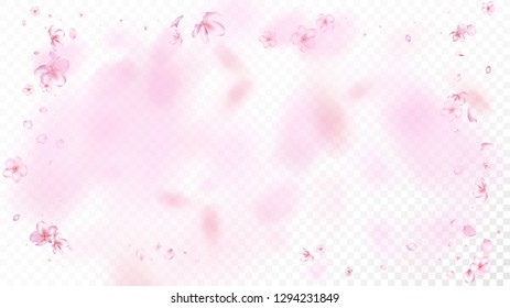 Nice Sakura Blossom Isolated Vector. Magic Blowing 3d Petals Wedding Texture. Japanese Bokeh Flowers Illustration. Valentine, Mother's Day Realistic Nice Sakura Blossom Isolated on White