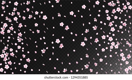 Nice Sakura Blossom Isolated Vector. Watercolor Flying 3d Petals Wedding Border. Japanese Blooming Flowers Wallpaper. Valentine, Mother's Day Watercolor Nice Sakura Blossom Isolated on Black