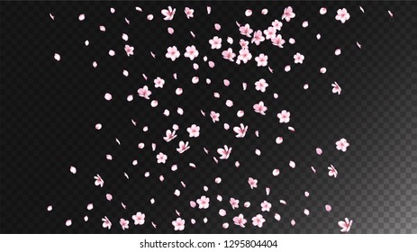 Nice Sakura Blossom Isolated Vector. Summer Flying 3d Petals Wedding Pattern. Japanese Bokeh Flowers Wallpaper. Valentine, Mother's Day Summer Nice Sakura Blossom Isolated on Black