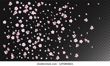 Nice Sakura Blossom Isolated Vector. Beautiful Falling 3d Petals Wedding Design. Japanese Funky Flowers Illustration. Valentine, Mother's Day Beautiful Nice Sakura Blossom Isolated on Black
