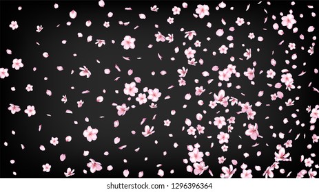 Nice Sakura Blossom Isolated Vector. Spring Falling 3d Petals Wedding Frame. Japanese Gradient Flowers Illustration. Valentine, Mother's Day Beautiful Nice Sakura Blossom Isolated on Black