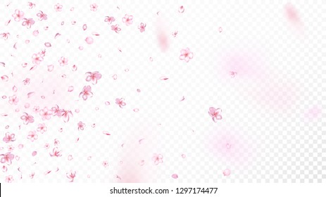 Nice Sakura Blossom Isolated Vector. Spring Blowing 3d Petals Wedding Texture. Japanese Beauty Spa Flowers Wallpaper. Valentine, Mother's Day Magic Nice Sakura Blossom Isolated on White