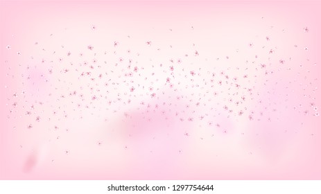 Nice Sakura Blossom Isolated Vector. Magic Blowing 3d Petals Wedding Pattern. Japanese Blurred Flowers Illustration. Valentine, Mother's Day Tender Nice Sakura Blossom Isolated on Rose