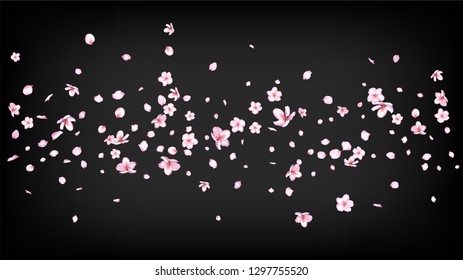 Nice Sakura Blossom Isolated Vector. Watercolor Falling 3d Petals Wedding Texture. Japanese Oriental Flowers Wallpaper. Valentine, Mother's Day Watercolor Nice Sakura Blossom Isolated on Black