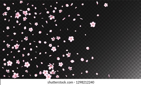 Nice Sakura Blossom Isolated Vector. Spring Blowing 3d Petals Wedding Paper. Japanese Nature Flowers Wallpaper. Valentine, Mother's Day Tender Nice Sakura Blossom Isolated on Black