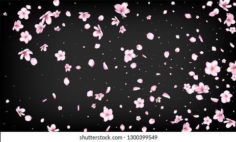 Nice Sakura Blossom Isolated Vector. Feminine Flying 3d Petals Wedding Texture. Japanese Nature Flowers Illustration. Valentine, Mother's Day Spring Nice Sakura Blossom Isolated on Black