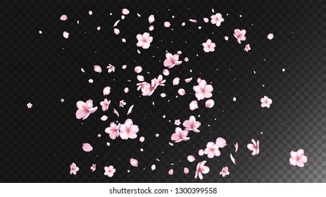 Nice Sakura Blossom Isolated Vector. Spring Showering 3d Petals Wedding Frame. Japanese Beauty Spa Flowers Illustration. Valentine, Mother's Day Tender Nice Sakura Blossom Isolated on Black