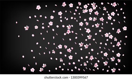 Nice Sakura Blossom Isolated Vector. Realistic Flying 3d Petals Wedding Frame. Japanese Funky Flowers Illustration. Valentine, Mother's Day Magic Nice Sakura Blossom Isolated on Black