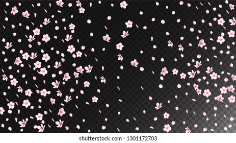 Nice Sakura Blossom Isolated Vector. Feminine Showering 3d Petals Wedding Design. Japanese Blurred Flowers Wallpaper. Valentine, Mother's Day Magic Nice Sakura Blossom Isolated on Black
