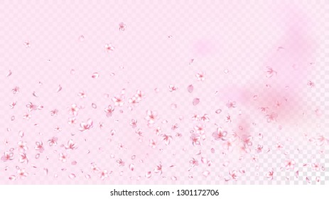 Nice Sakura Blossom Isolated Vector. Spring Falling 3d Petals Wedding Design. Japanese Blooming Flowers Illustration. Valentine, Mother's Day Tender Nice Sakura Blossom Isolated on Rose