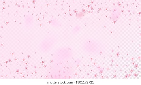 Nice Sakura Blossom Isolated Vector. Beautiful Flying 3d Petals Wedding Texture. Japanese Nature Flowers Illustration. Valentine, Mother's Day Realistic Nice Sakura Blossom Isolated on Rose