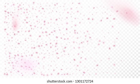 Nice Sakura Blossom Isolated Vector. Pastel Blowing 3d Petals Wedding Pattern. Japanese Blooming Flowers Wallpaper. Valentine, Mother's Day Pastel Nice Sakura Blossom Isolated on White