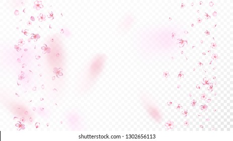 Nice Sakura Blossom Isolated Vector. Tender Blowing 3d Petals Wedding Design. Japanese Blooming Flowers Illustration. Valentine, Mother's Day Realistic Nice Sakura Blossom Isolated on White