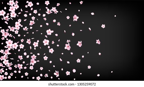 Nice Sakura Blossom Isolated Vector. Magic Showering 3d Petals Wedding Border. Japanese Oriental Flowers Illustration. Valentine, Mother's Day Realistic Nice Sakura Blossom Isolated on Black