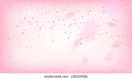 Nice Sakura Blossom Isolated Vector. Beautiful Flying 3d Petals Wedding Frame. Japanese Nature Flowers Illustration. Valentine, Mother's Day Summer Nice Sakura Blossom Isolated on Rose