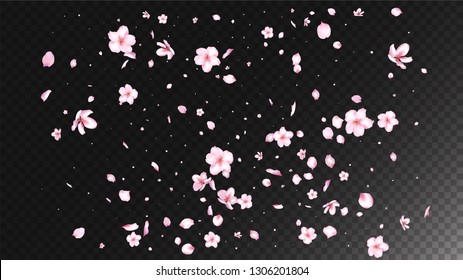 Nice Sakura Blossom Isolated Vector. Spring Flying 3d Petals Wedding Frame. Japanese Style Flowers Wallpaper. Valentine, Mother's Day Feminine Nice Sakura Blossom Isolated on Black