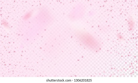 Nice Sakura Blossom Isolated Vector. Summer Falling 3d Petals Wedding Design. Japanese Blooming Flowers Illustration. Valentine, Mother's Day Watercolor Nice Sakura Blossom Isolated on Rose