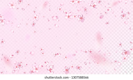 Nice Sakura Blossom Isolated Vector. Watercolor Falling 3d Petals Wedding Texture. Japanese Oriental Flowers Wallpaper. Valentine, Mother's Day Pastel Nice Sakura Blossom Isolated on Rose