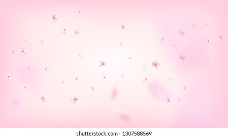 Nice Sakura Blossom Isolated Vector. Magic Blowing 3d Petals Wedding Pattern. Japanese Bokeh Flowers Illustration. Valentine, Mother's Day Realistic Nice Sakura Blossom Isolated on Rose