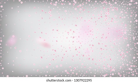 Nice Sakura Blossom Isolated Vector. Tender Showering 3d Petals Wedding Texture. Japanese Blurred Flowers Illustration. Valentine, Mother's Day Spring Nice Sakura Blossom Isolated on White