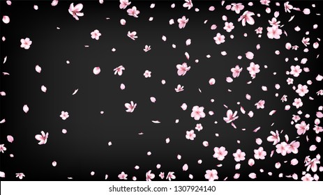 Nice Sakura Blossom Isolated Vector. Tender Blowing 3d Petals Wedding Texture. Japanese Blurred Flowers Illustration. Valentine, Mother's Day Watercolor Nice Sakura Blossom Isolated on Black