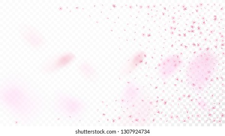 Nice Sakura Blossom Isolated Vector. Summer Showering 3d Petals Wedding Paper. Japanese Blurred Flowers Wallpaper. Valentine, Mother's Day Magic Nice Sakura Blossom Isolated on White