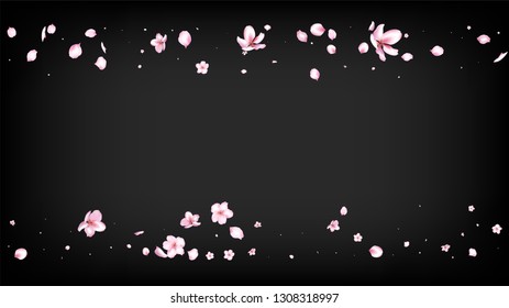 Nice Sakura Blossom Isolated Vector. Tender Showering 3d Petals Wedding Frame. Japanese Oriental Flowers Illustration. Valentine, Mother's Day Beautiful Nice Sakura Blossom Isolated on Black