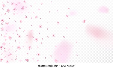 Nice Sakura Blossom Isolated Vector. Realistic Flying 3d Petals Wedding Frame.     