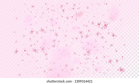 Nice Sakura Blossom Isolated Vector. Summer Falling 3d Petals Wedding Pattern. Japanese Style Flowers Illustration. Valentine, Mother's Day Feminine Nice Sakura Blossom Isolated on Rose