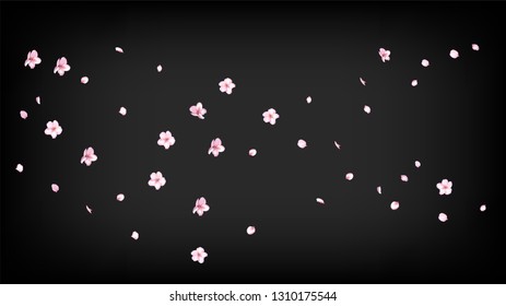 Nice Sakura Blossom Isolated Vector. Tender Showering 3d Petals Wedding Paper. Japanese Oriental Flowers Illustration. Valentine, Mother's Day Spring Nice Sakura Blossom Isolated on Black