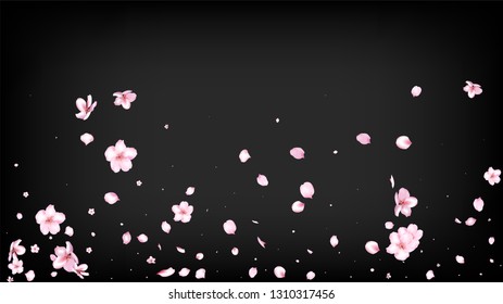 Nice Sakura Blossom Isolated Vector. Spring Falling 3d Petals Wedding Design. Japanese Beauty Spa Flowers Wallpaper. Valentine, Mother's Day Realistic Nice Sakura Blossom Isolated on Black