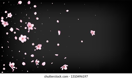 Nice Sakura Blossom Isolated Vector. Pastel Showering 3d Petals Wedding Frame. Japanese Blooming Flowers Wallpaper. Valentine, Mother's Day Pastel Nice Sakura Blossom Isolated on Black