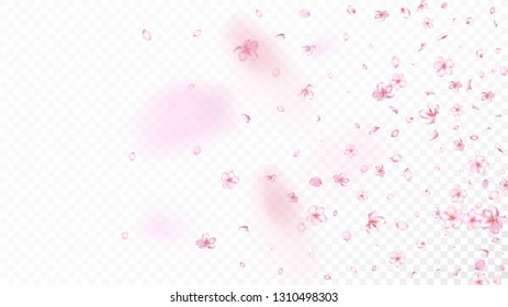 Nice Sakura Blossom Isolated Vector. Summer Flying 3d Petals Wedding Frame. Japanese Blurred Flowers Illustration. Valentine, Mother's Day Realistic Nice Sakura Blossom Isolated on White