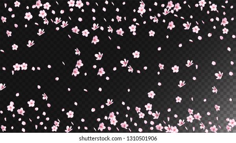 Nice Sakura Blossom Isolated Vector. Spring Showering 3d Petals Wedding Texture. Japanese Gradient Flowers Illustration. Valentine, Mother's Day Spring Nice Sakura Blossom Isolated on Black