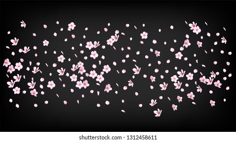 Nice Sakura Blossom Isolated Vector. Feminine Flying 3d Petals Wedding Frame. Japanese Blooming Flowers Illustration. Valentine, Mother's Day Tender Nice Sakura Blossom Isolated on Black