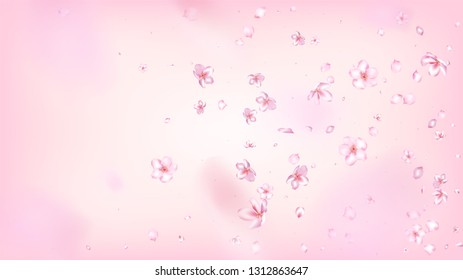 Nice Sakura Blossom Isolated Vector. Feminine Blowing 3d Petals Wedding Texture. Japanese Bokeh Flowers Wallpaper. Valentine, Mother's Day Realistic Nice Sakura Blossom Isolated on Rose