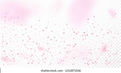 Nice Sakura Blossom Isolated Vector. Tender Showering 3d Petals Wedding Paper. Japanese Funky Flowers Illustration. Valentine, Mother's Day Spring Nice Sakura Blossom Isolated on White