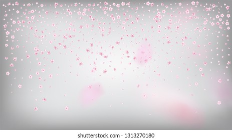 Nice Sakura Blossom Isolated Vector. Watercolor Blowing 3d Petals Wedding Design. Japanese Funky Flowers Wallpaper. Valentine, Mother's Day Feminine Nice Sakura Blossom Isolated on White