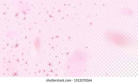 Nice Sakura Blossom Isolated Vector. Tender Falling 3d Petals Wedding Texture. Japanese Nature Flowers Illustration. Valentine, Mother's Day Tender Nice Sakura Blossom Isolated on Rose