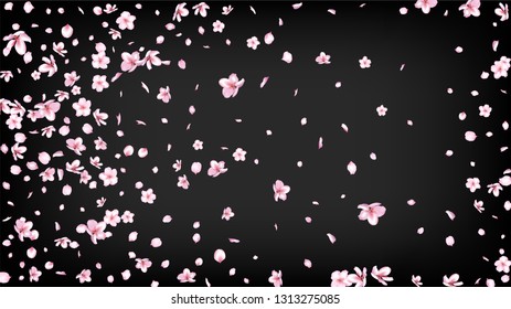 Nice Sakura Blossom Isolated Vector. Magic Flying 3d Petals Wedding Texture. Japanese Bokeh Flowers Wallpaper. Valentine, Mother's Day Spring Nice Sakura Blossom Isolated on Black