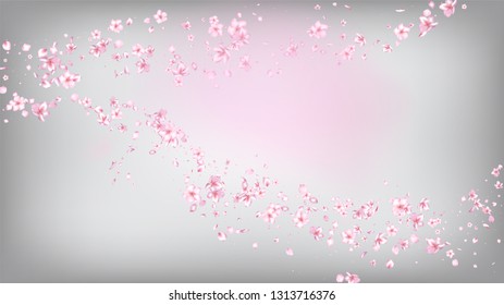Nice Sakura Blossom Isolated Vector. Tender Flying 3d Petals Wedding Frame. Japanese Beauty Spa Flowers Illustration. Valentine, Mother's Day Realistic Nice Sakura Blossom Isolated on White
