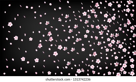 Nice Sakura Blossom Isolated Vector. Realistic Falling 3d Petals Wedding Pattern. Japanese Nature Flowers Wallpaper. Valentine, Mother's Day Beautiful Nice Sakura Blossom Isolated on Black