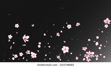 Nice Sakura Blossom Isolated Vector. Magic Showering 3d Petals Wedding Frame. Japanese Oriental Flowers Illustration. Valentine, Mother's Day Magic Nice Sakura Blossom Isolated on Black