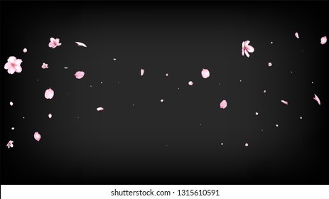 Nice Sakura Blossom Isolated Vector. Summer Falling 3d Petals Wedding Design. Japanese Style Flowers Illustration. Valentine, Mother's Day Tender Nice Sakura Blossom Isolated on Black